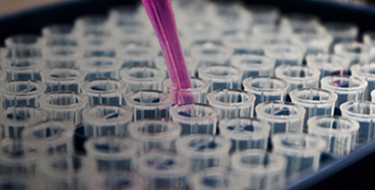 m-responsibility-research