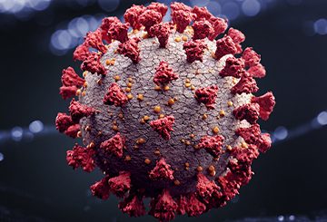 covid-large-tile-desktop