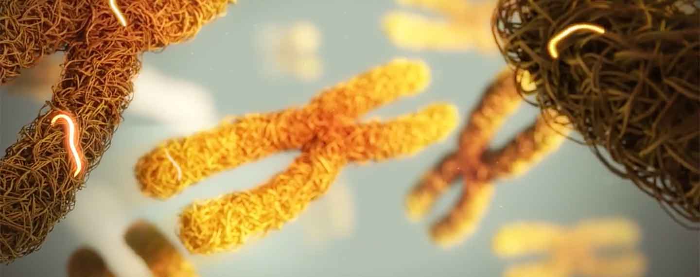 new-insights-landscape-desktop