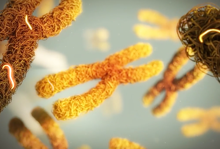 new-insights-portrait-mobile