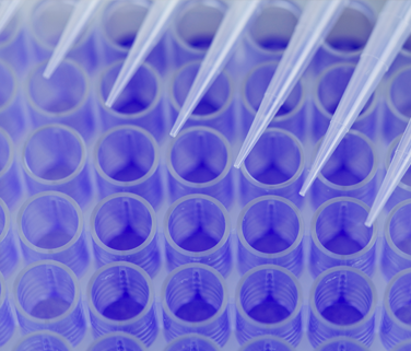 riabni-landscape-mobile