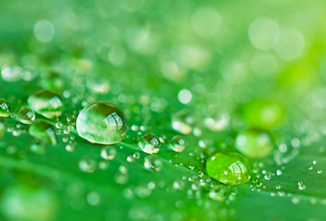 EnvironmentalChampions2020_01-360