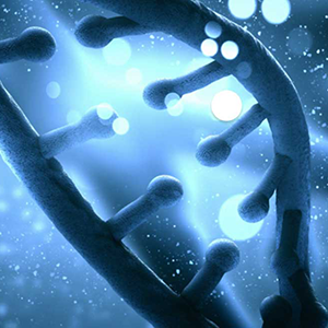 Genome