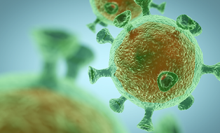 response-to-covid-large-tile-mobile