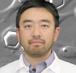 fellows_haruki_hasegawa