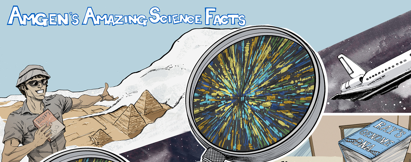 RaysScienceQuestions_1440x570